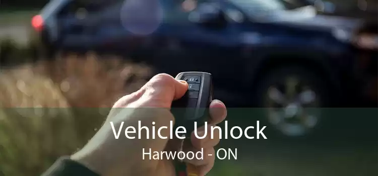 Vehicle Unlock Harwood - ON