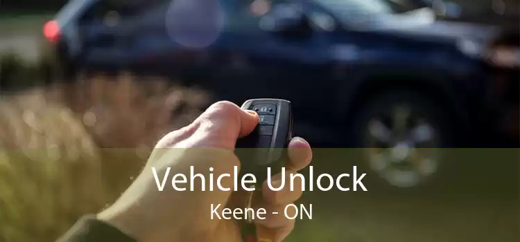 Vehicle Unlock Keene - ON