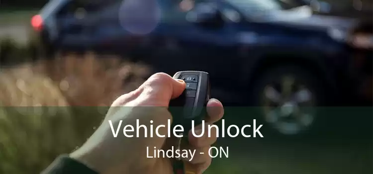 Vehicle Unlock Lindsay - ON