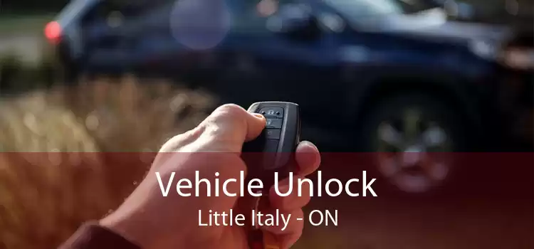 Vehicle Unlock Little Italy - ON