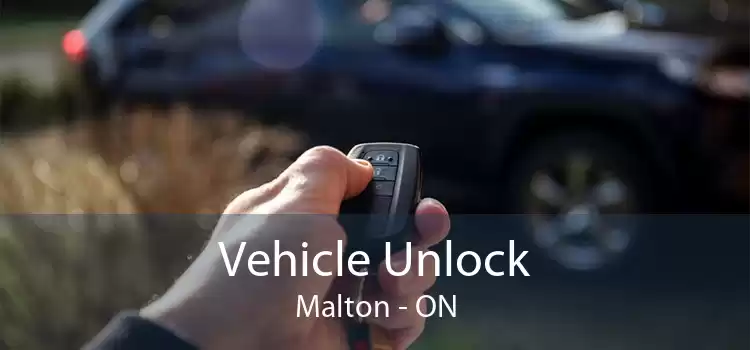 Vehicle Unlock Malton - ON