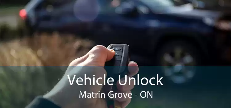 Vehicle Unlock Matrin Grove - ON