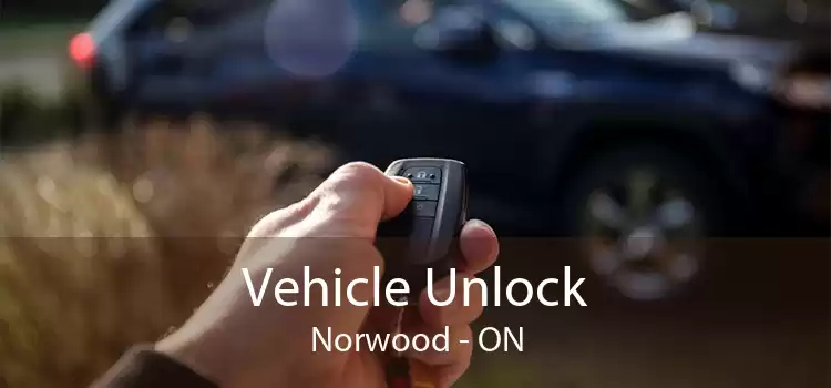Vehicle Unlock Norwood - ON