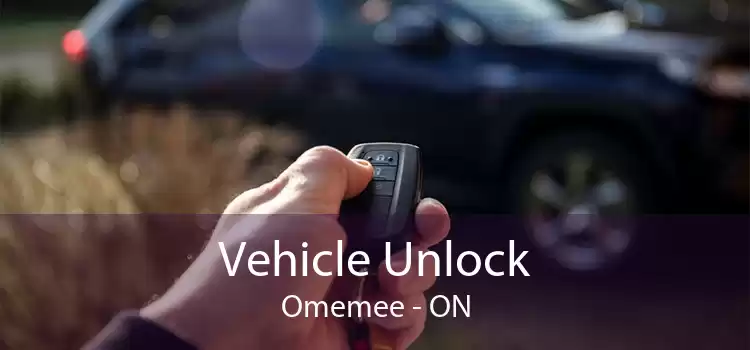Vehicle Unlock Omemee - ON