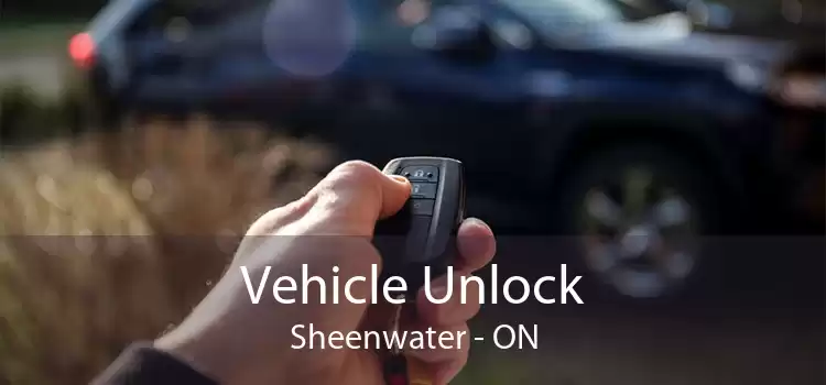 Vehicle Unlock Sheenwater - ON