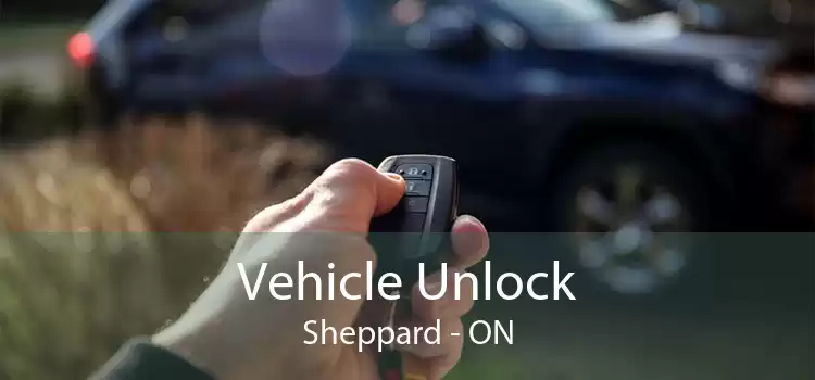 Vehicle Unlock Sheppard - ON