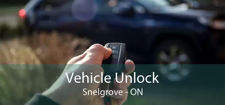 Vehicle Unlock Snelgrove - ON