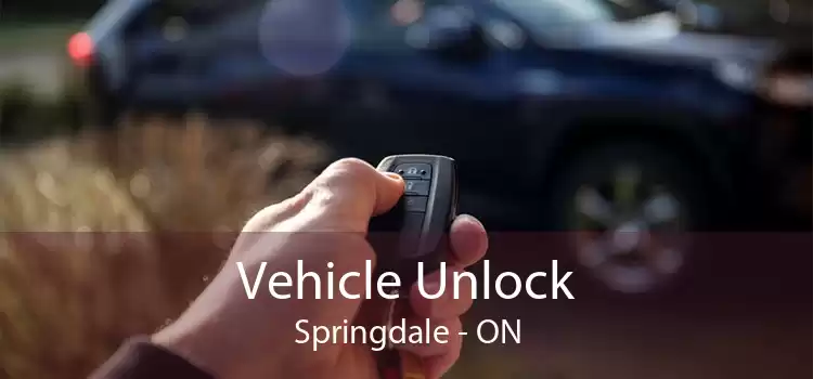 Vehicle Unlock Springdale - ON