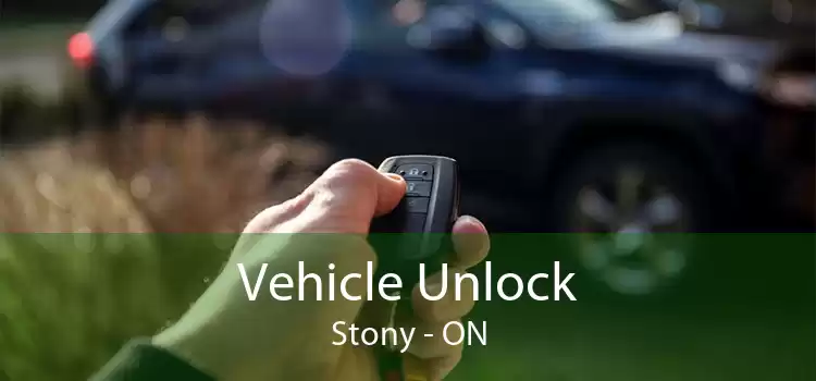 Vehicle Unlock Stony - ON