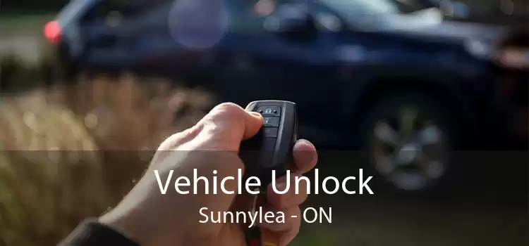 Vehicle Unlock Sunnylea - ON
