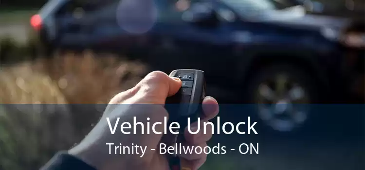 Vehicle Unlock Trinity Bellwoods - ON