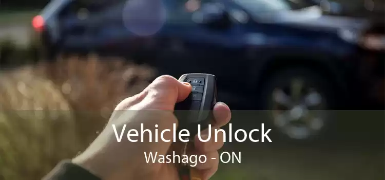 Vehicle Unlock Washago - ON