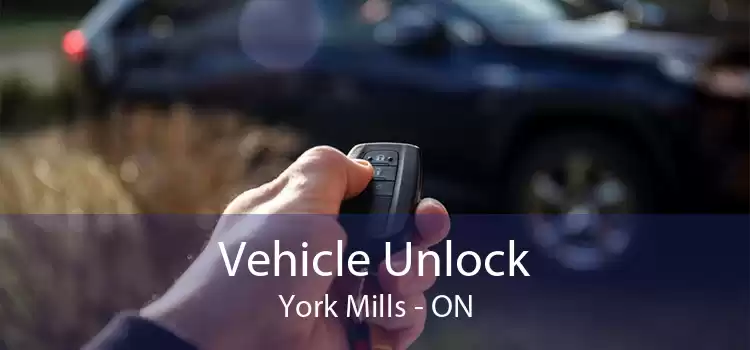 Vehicle Unlock York Mills - ON