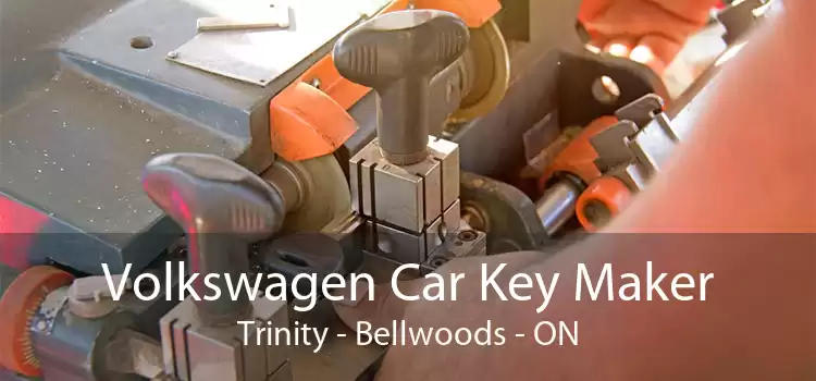 Volkswagen Car Key Maker Trinity Bellwoods - ON