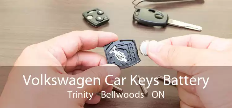 Volkswagen Car Keys Battery Trinity - Bellwoods - ON