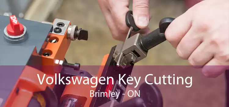 Volkswagen Key Cutting Brimley - ON
