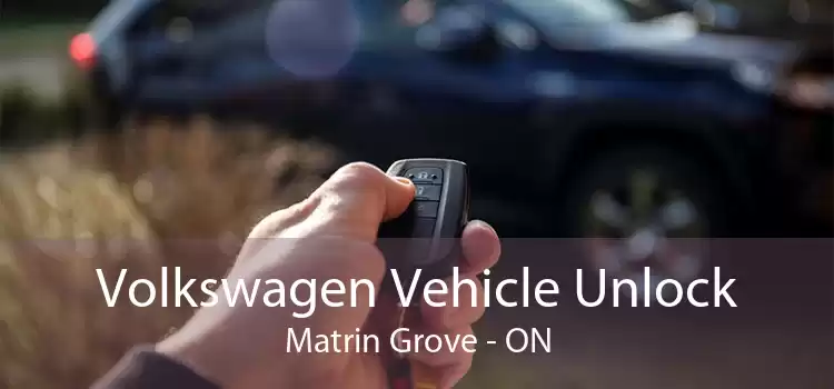 Volkswagen Vehicle Unlock Matrin Grove - ON