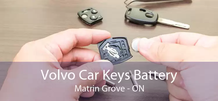 Volvo Car Keys Battery Matrin Grove - ON