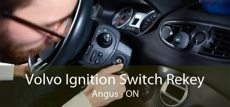 Volvo Ignition Switch Rekey Angus - ON
