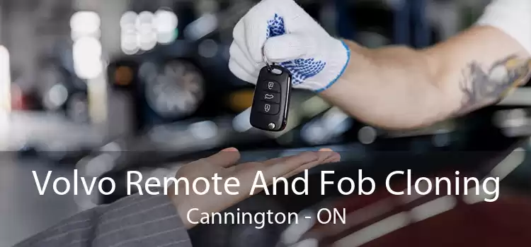Volvo Remote And Fob Cloning Cannington - ON