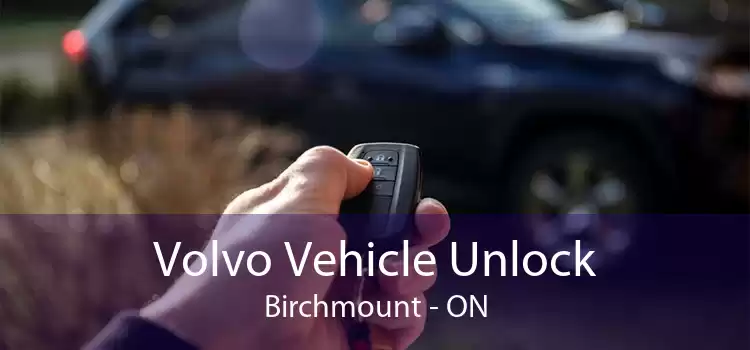 Volvo Vehicle Unlock Birchmount - ON