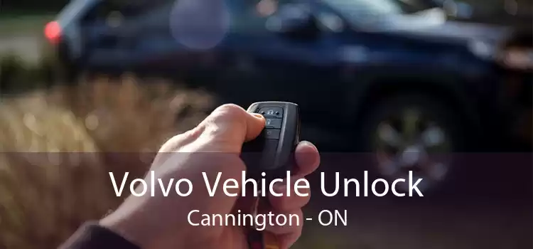 Volvo Vehicle Unlock Cannington - ON
