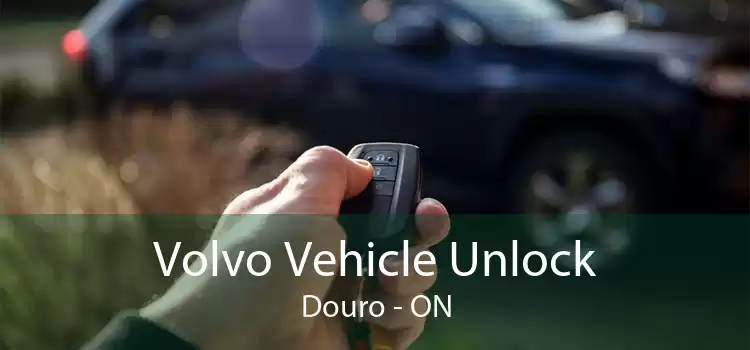 Volvo Vehicle Unlock Douro - ON