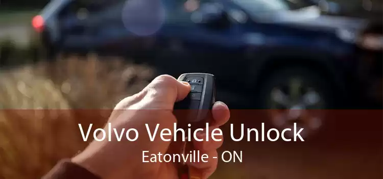 Volvo Vehicle Unlock Eatonville - ON