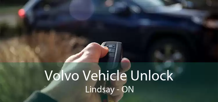 Volvo Vehicle Unlock Lindsay - ON