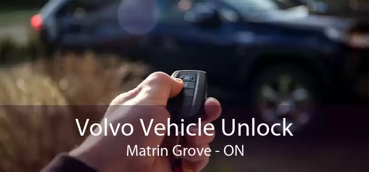Volvo Vehicle Unlock Matrin Grove - ON