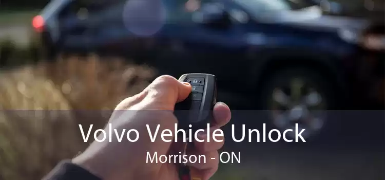 Volvo Vehicle Unlock Morrison - ON